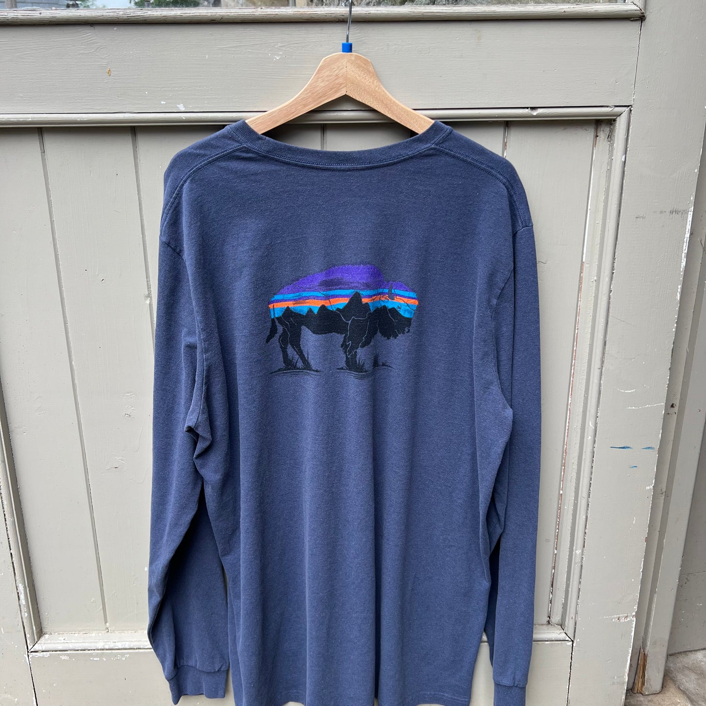 903 Patagonia Graphic long sleeve shirt, Size XXL