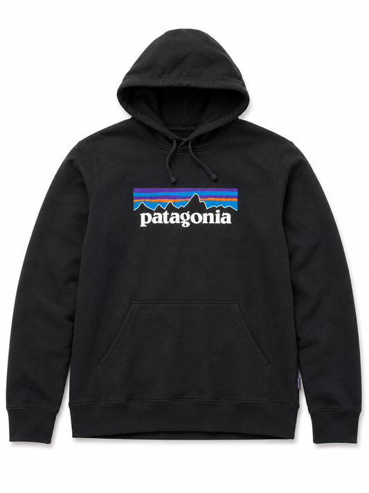 Men's P-6 Patagonia Hoodie